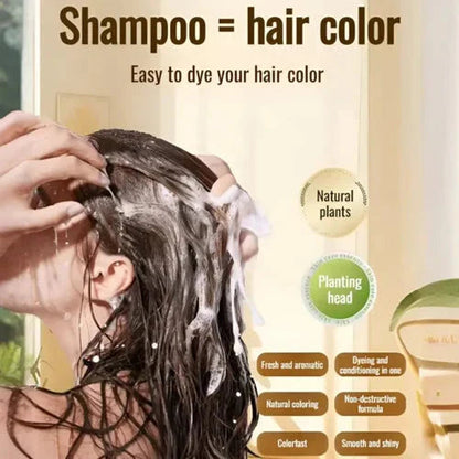Long Lasting Natural Hair Dye Shampoo 100ML (Pack of 2)